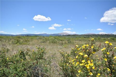 253 Silverheels Rd, Fairplay, CO 80440 photo 1