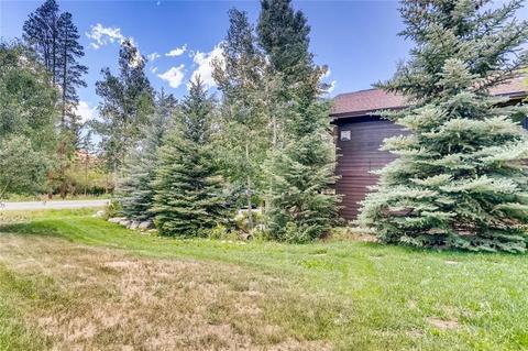 13 Wagner Way, Dillon, CO 80435 photo 31