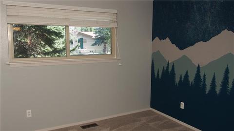 408 Cascade Cir, Silverthorne, CO 80498 photo 16