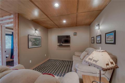 1387 Bonell Dr, Fairplay, CO 80440 photo 27