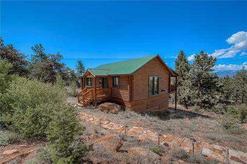 1387 Bonell Dr, Fairplay, CO 80440 photo 1