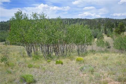 178 Pheasant Run, Como, CO 80432 photo 10