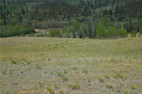 178 Pheasant Run, Como, CO 80432 photo 1