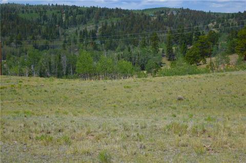 178 Pheasant Run, Como, CO 80432 photo 13