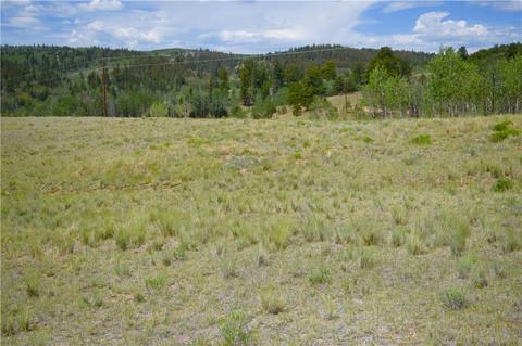 178 Pheasant Run, Como, CO 80432 photo 7