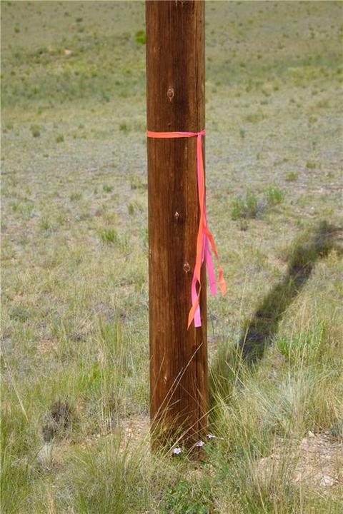178 Pheasant Run, Como, CO 80432 photo 14