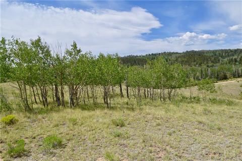 178 Pheasant Run, Como, CO 80432 photo 11