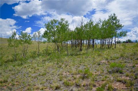 178 Pheasant Run, Como, CO 80432 photo 9