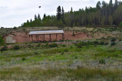 178 Pheasant Run, Como, CO 80432 photo 17
