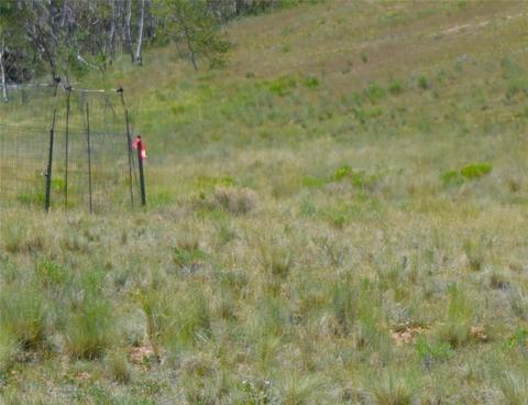 178 Pheasant Run, Como, CO 80432 photo 5
