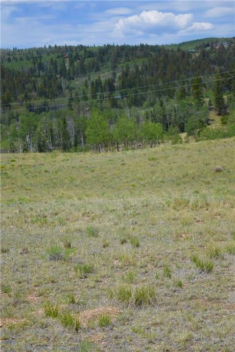 178 Pheasant Run, Como, CO 80432 photo 12