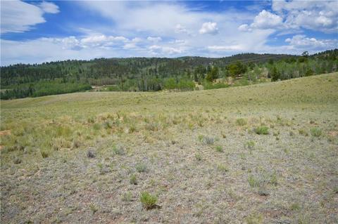 178 Pheasant Run, Como, CO 80432 photo 4