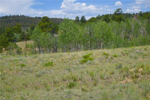 178 Pheasant Run, Como, CO 80432 photo 2