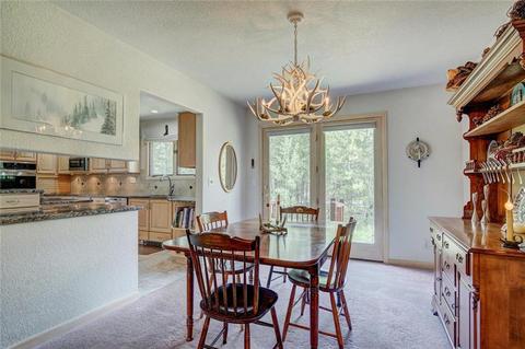 1709 Red Hawk Rd, Silverthorne, CO 80498 photo 13