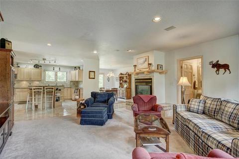 1709 Red Hawk Rd, Silverthorne, CO 80498 photo 10
