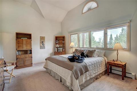 1709 Red Hawk Rd, Silverthorne, CO 80498 photo 19