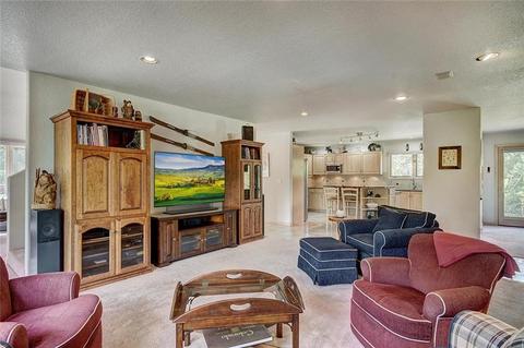 1709 Red Hawk Rd, Silverthorne, CO 80498 photo 9