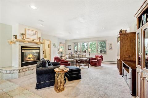 1709 Red Hawk Rd, Silverthorne, CO 80498 photo 6