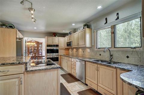 1709 Red Hawk Rd, Silverthorne, CO 80498 photo 3
