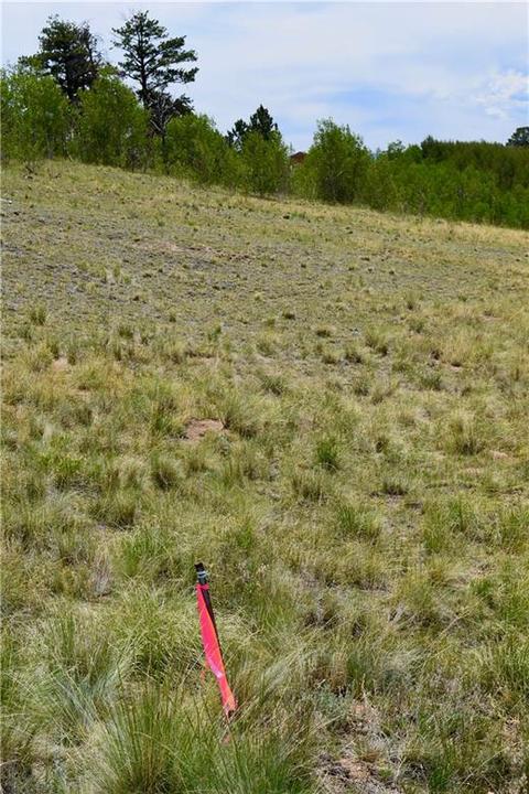 139 Kiwi Ct, Como, CO 80432 photo 2