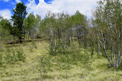 139 Kiwi Ct, Como, CO 80432 photo 6