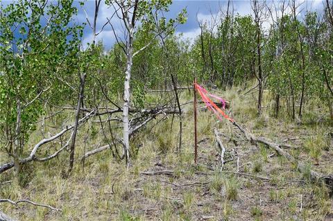 139 Kiwi Ct, Como, CO 80432 photo 5