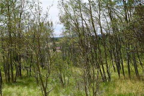 139 Kiwi Ct, Como, CO 80432 photo 9