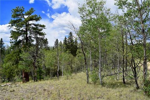 139 Kiwi Ct, Como, CO 80432 photo 20