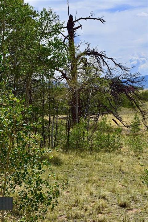 139 Kiwi Ct, Como, CO 80432 photo 13