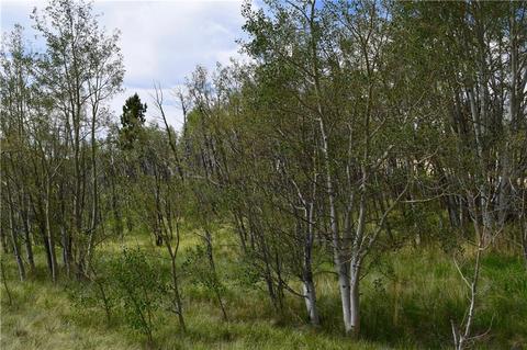 139 Kiwi Ct, Como, CO 80432 photo 8