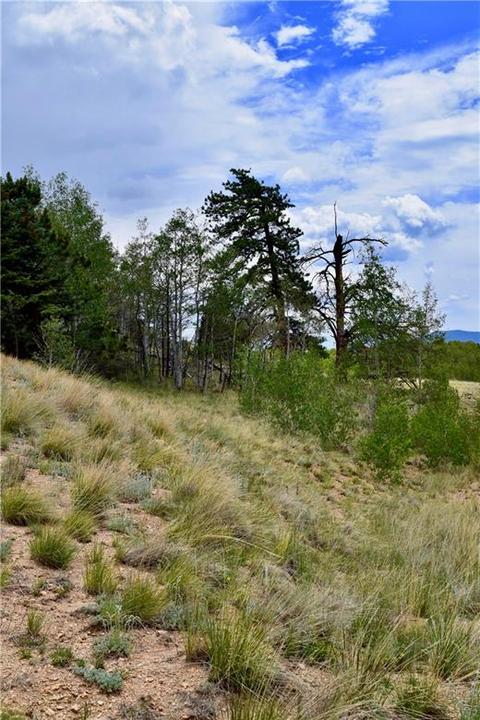 139 Kiwi Ct, Como, CO 80432 photo 18