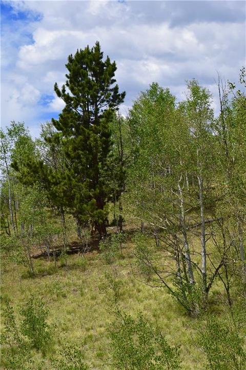 139 Kiwi Ct, Como, CO 80432 photo 3