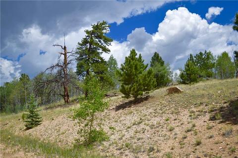 139 Kiwi Ct, Como, CO 80432 photo 23