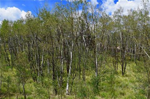 139 Kiwi Ct, Como, CO 80432 photo 7
