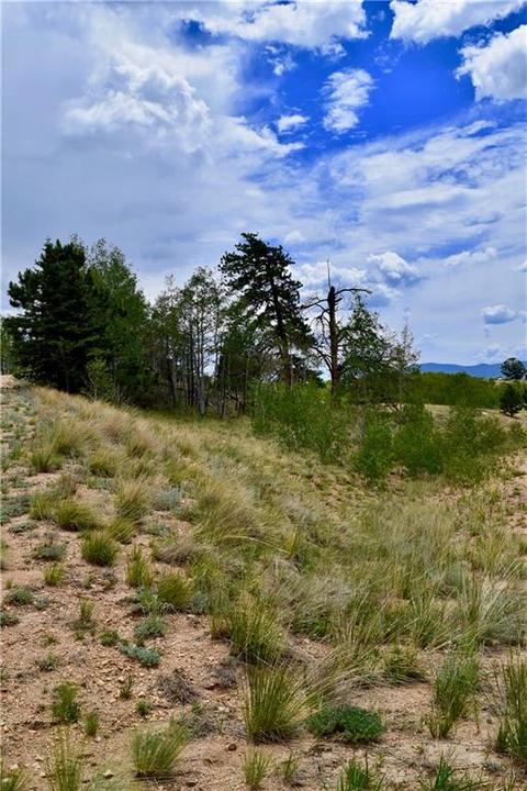 139 Kiwi Ct, Como, CO 80432 photo 16
