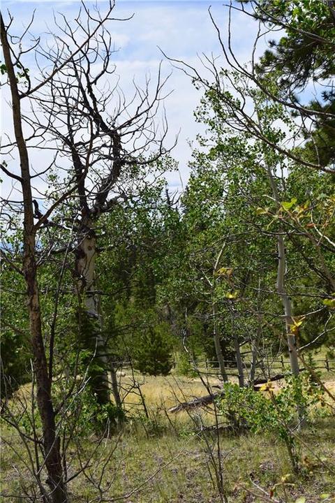 139 Kiwi Ct, Como, CO 80432 photo 11