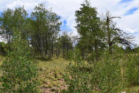 139 Kiwi Ct, Como, CO 80432 photo 17