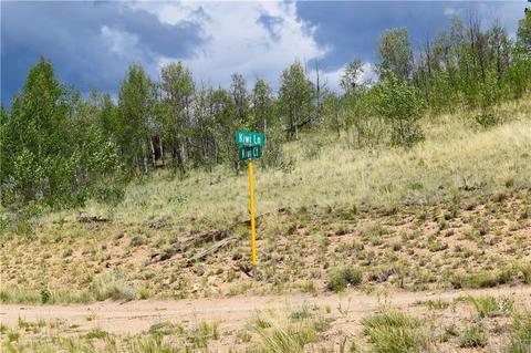 139 Kiwi Ct, Como, CO 80432 photo 15
