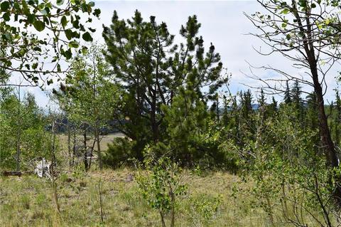 139 Kiwi Ct, Como, CO 80432 photo 10