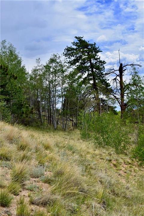 139 Kiwi Ct, Como, CO 80432 photo 14