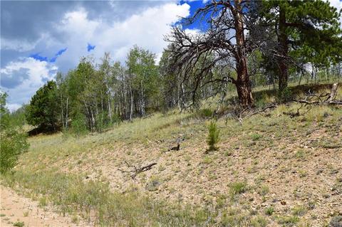 139 Kiwi Ct, Como, CO 80432 photo 19