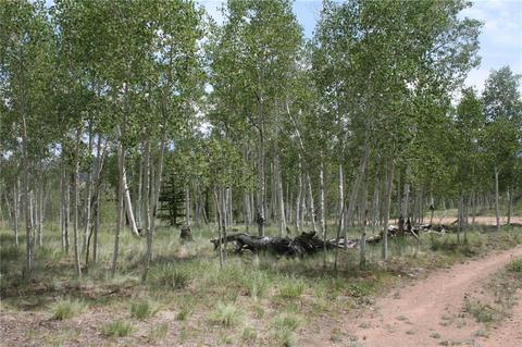 55 Duck Way, Como, CO 80432 photo 4