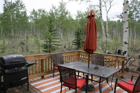 55 Duck Way, Como, CO 80432 photo 21