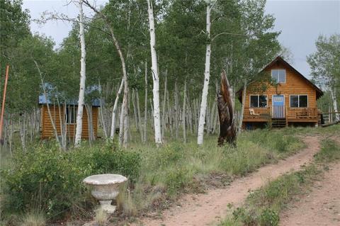 55 Duck Way, Como, CO 80432 photo 27