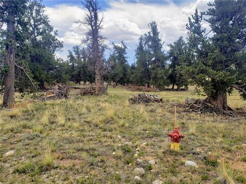 188 Stellar Jay Way, Fairplay, CO 80440 photo 2