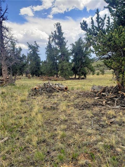 188 Stellar Jay Way, Fairplay, CO 80440 photo 4