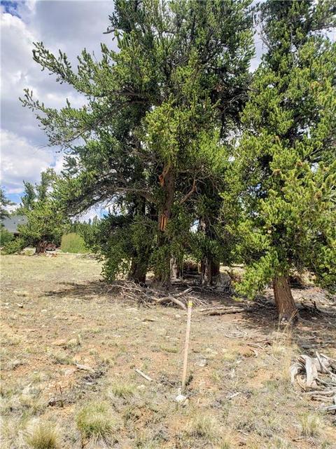 188 Stellar Jay Way, Fairplay, CO 80440 photo 11