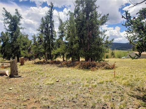 188 Stellar Jay Way, Fairplay, CO 80440 photo 9