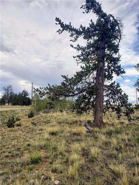 188 Stellar Jay Way, Fairplay, CO 80440 photo 5