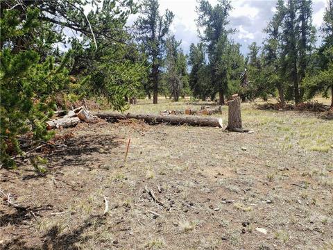 188 Stellar Jay Way, Fairplay, CO 80440 photo 8